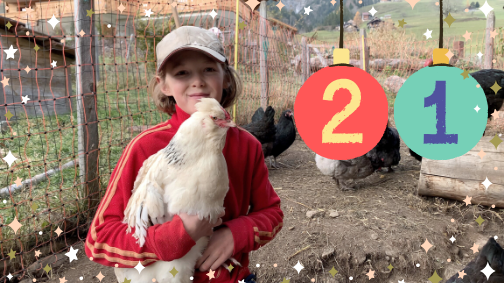 21